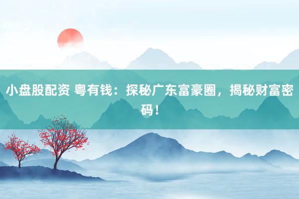 小盘股配资 粤有钱：探秘广东富豪圈，揭秘财富密码！