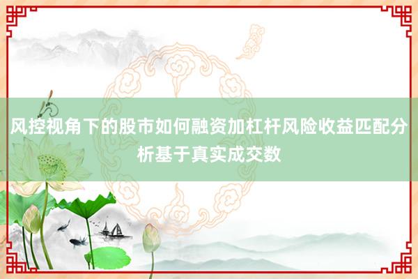 风控视角下的股市如何融资加杠杆风险收益匹配分析基于真实成交数