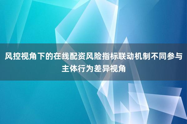 风控视角下的在线配资风险指标联动机制不同参与主体行为差异视角