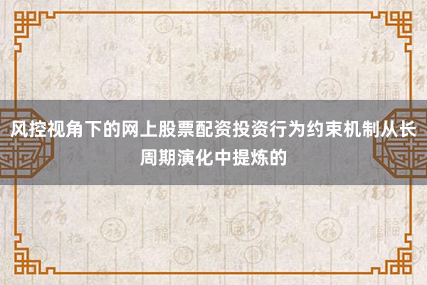 风控视角下的网上股票配资投资行为约束机制从长周期演化中提炼的